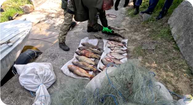 Волонтерство